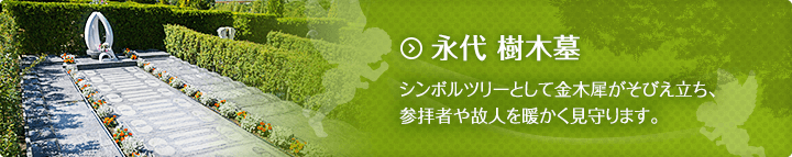 永代 樹木墓 シンボルツリーとして金木犀がそびえ立ち、参拝者や故人を暖かく見守ります。