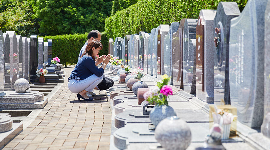 ミモザの小径イメージ