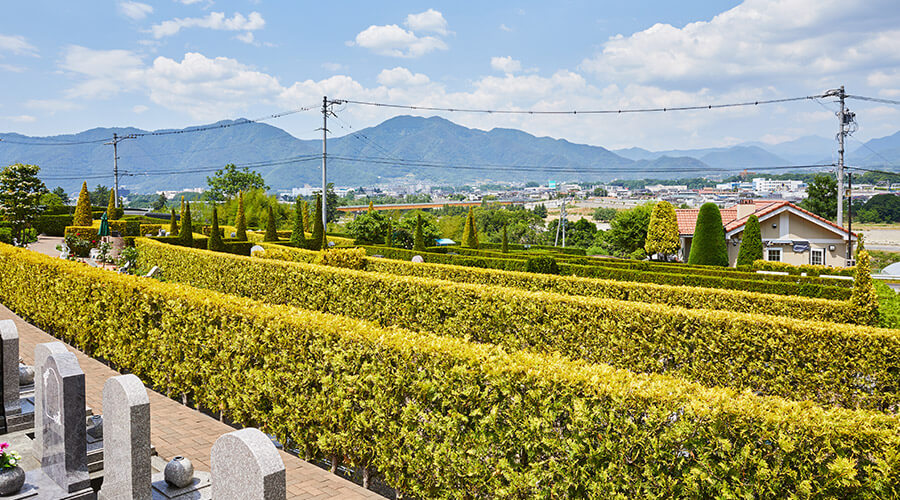 ミモザの小径イメージ