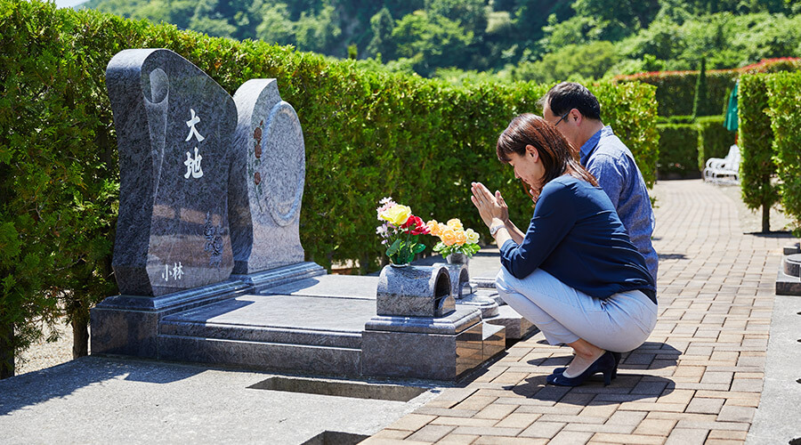 ポプラの小径イメージ