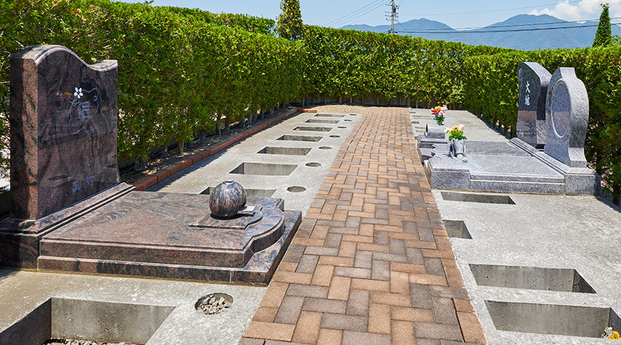 ポプラの小径イメージ