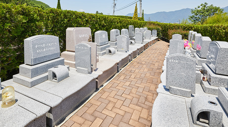 シオンの小径イメージ