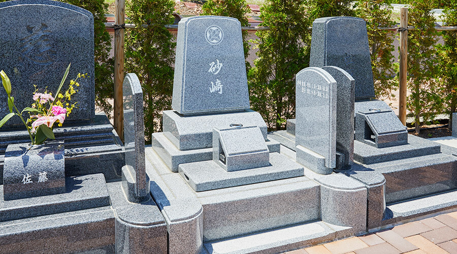 シオンの小径イメージ