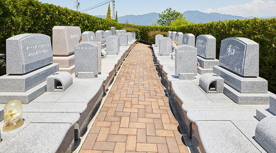 シオンの小径イメージ