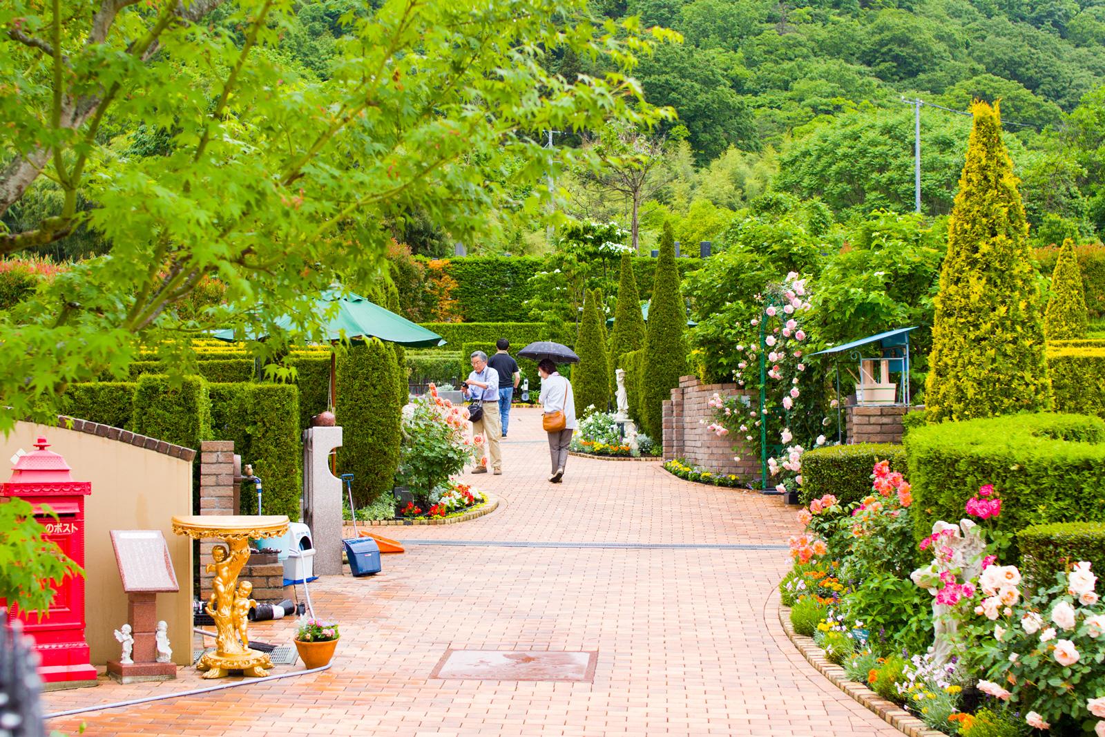 春のお花植え