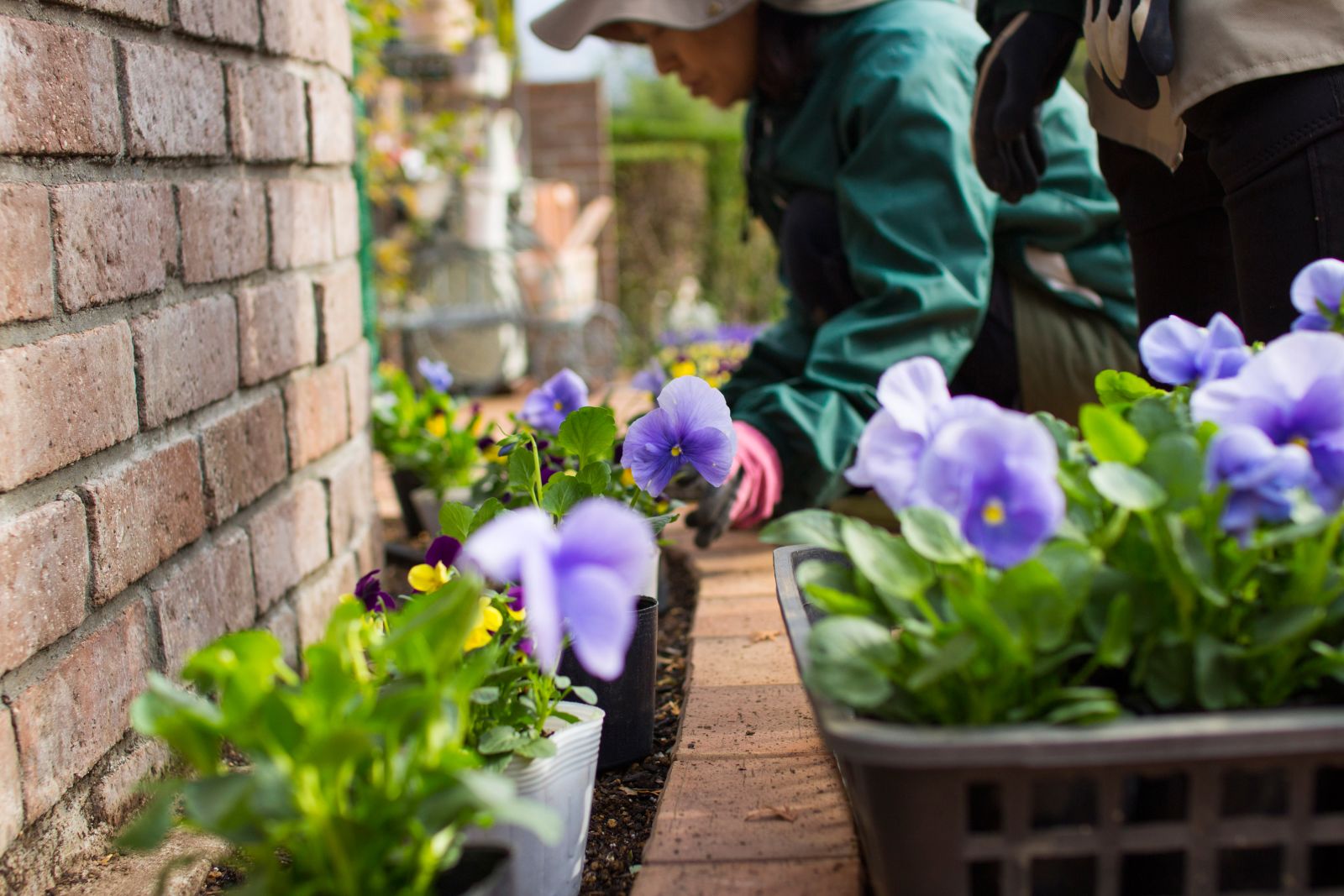 お墓の管理。お花植えするスタッフ