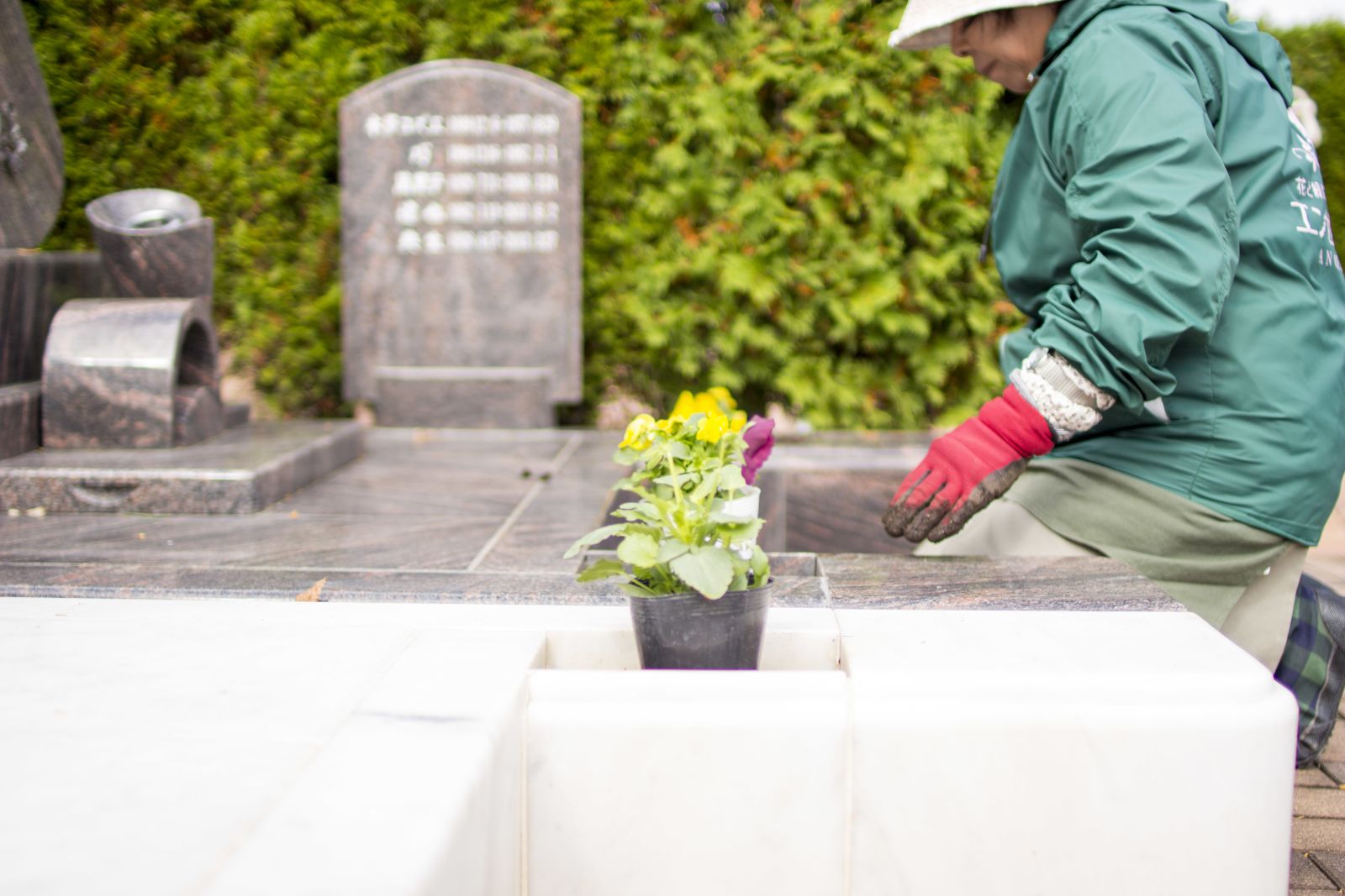 お墓の管理。お花植えするスタッフ