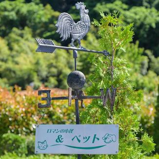 お知らせ・ブログ