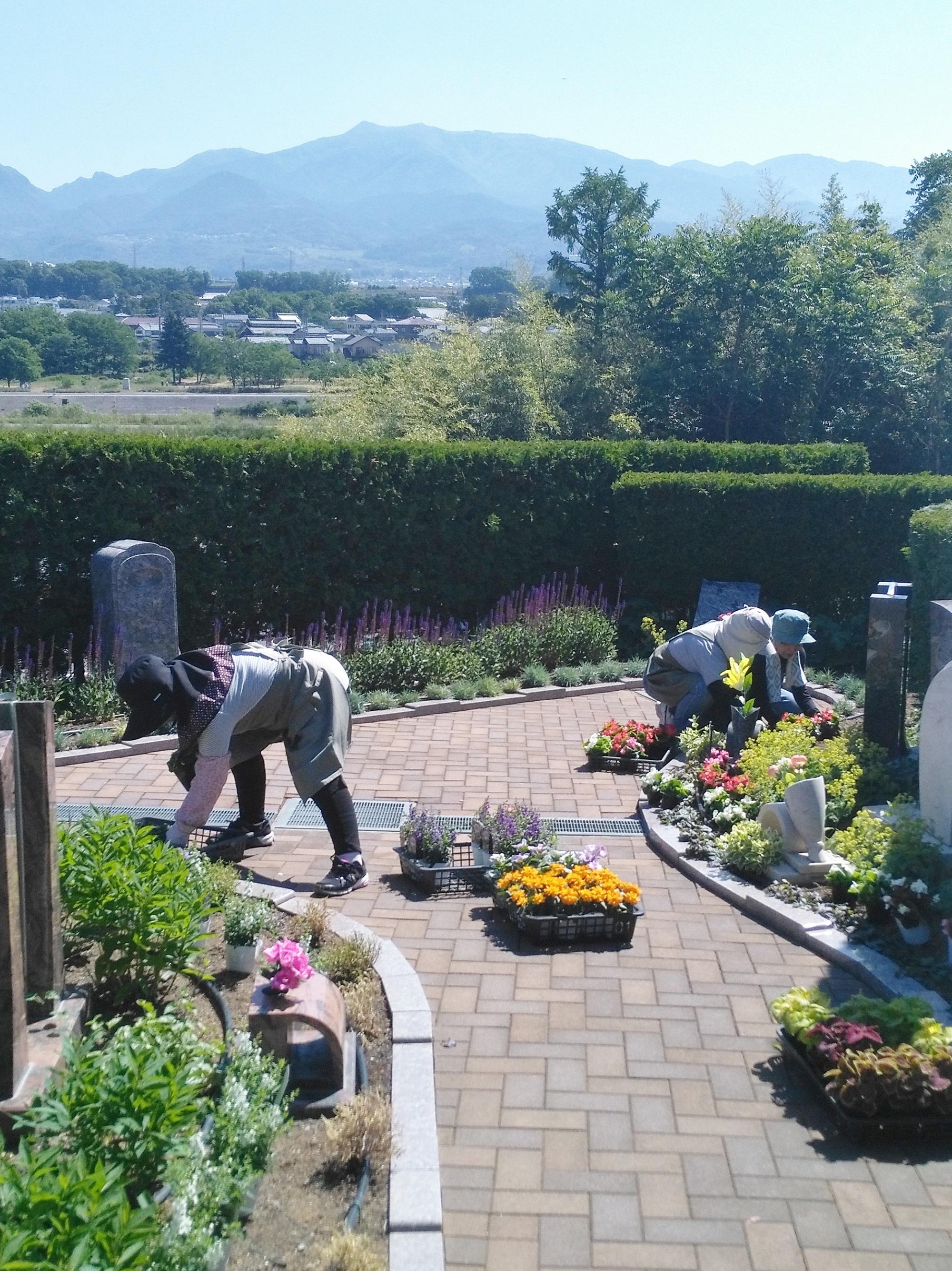 初夏の花植えをしました