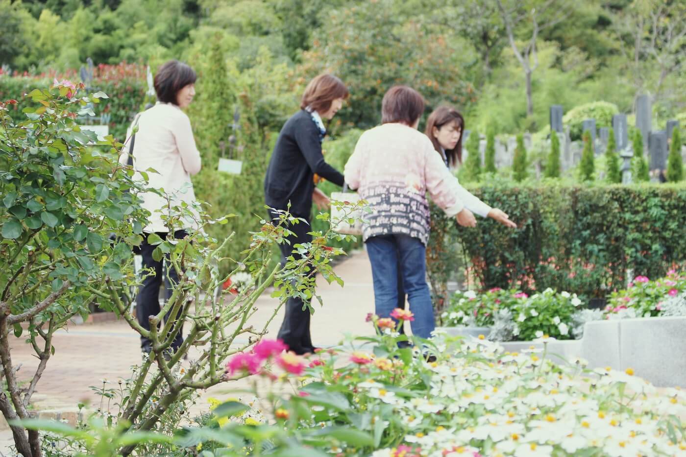 ペットと一緒に眠れるお墓の見学会