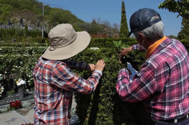 お花植えの指導日-2019春3回目-