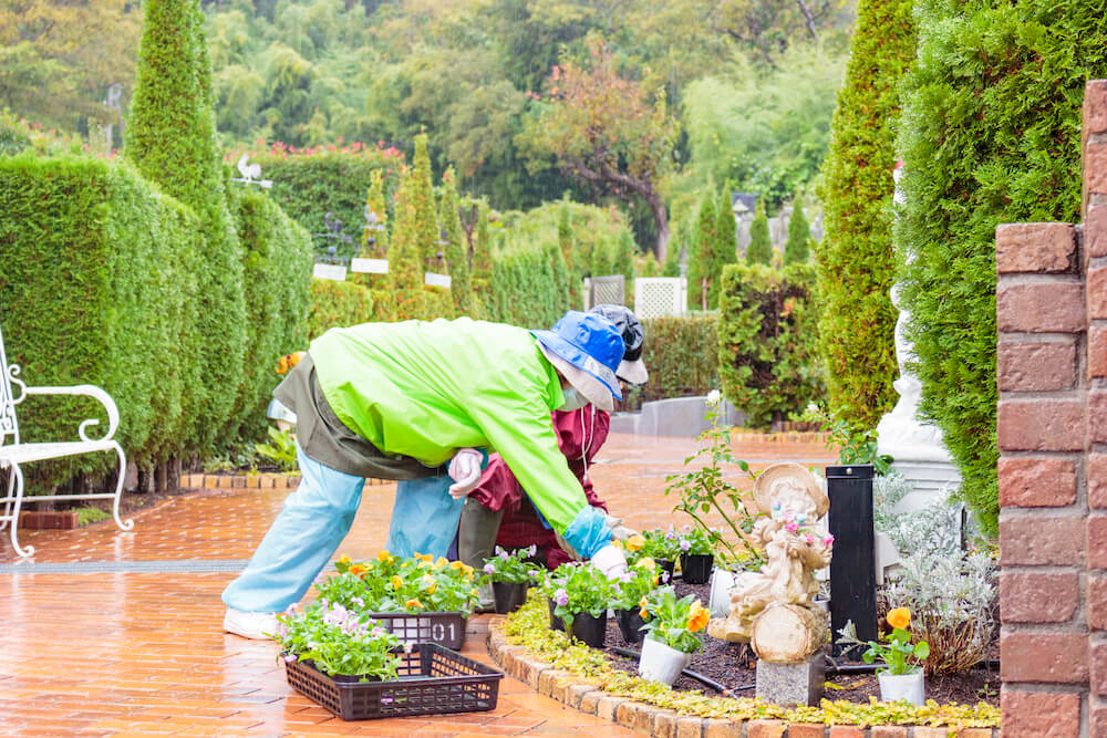 お花植えを行いました-2020秋-