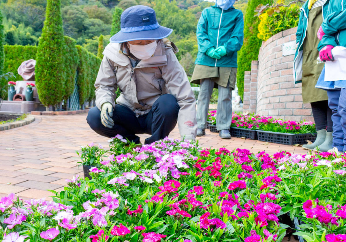 霊園のお花植え