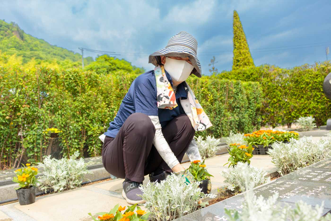 霊園のお花植え