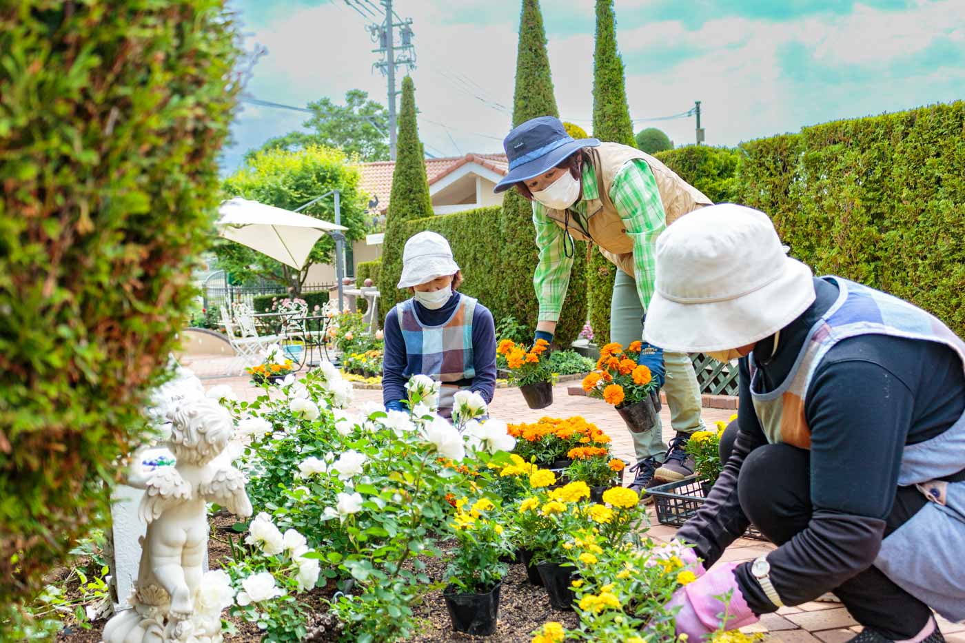 霊園のお花植え