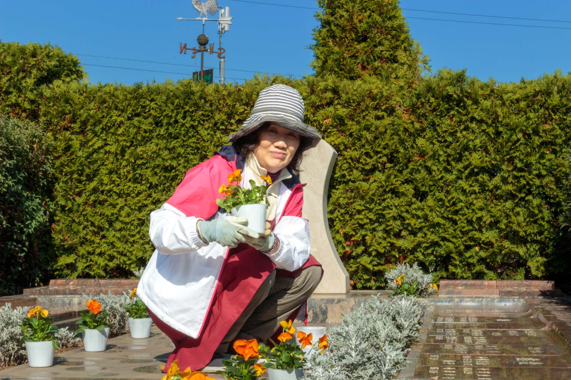 霊園のお花植え