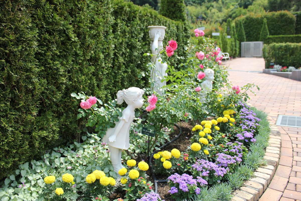 エンゼルパーク上田で季節の花々が咲く園内のイメージ写真