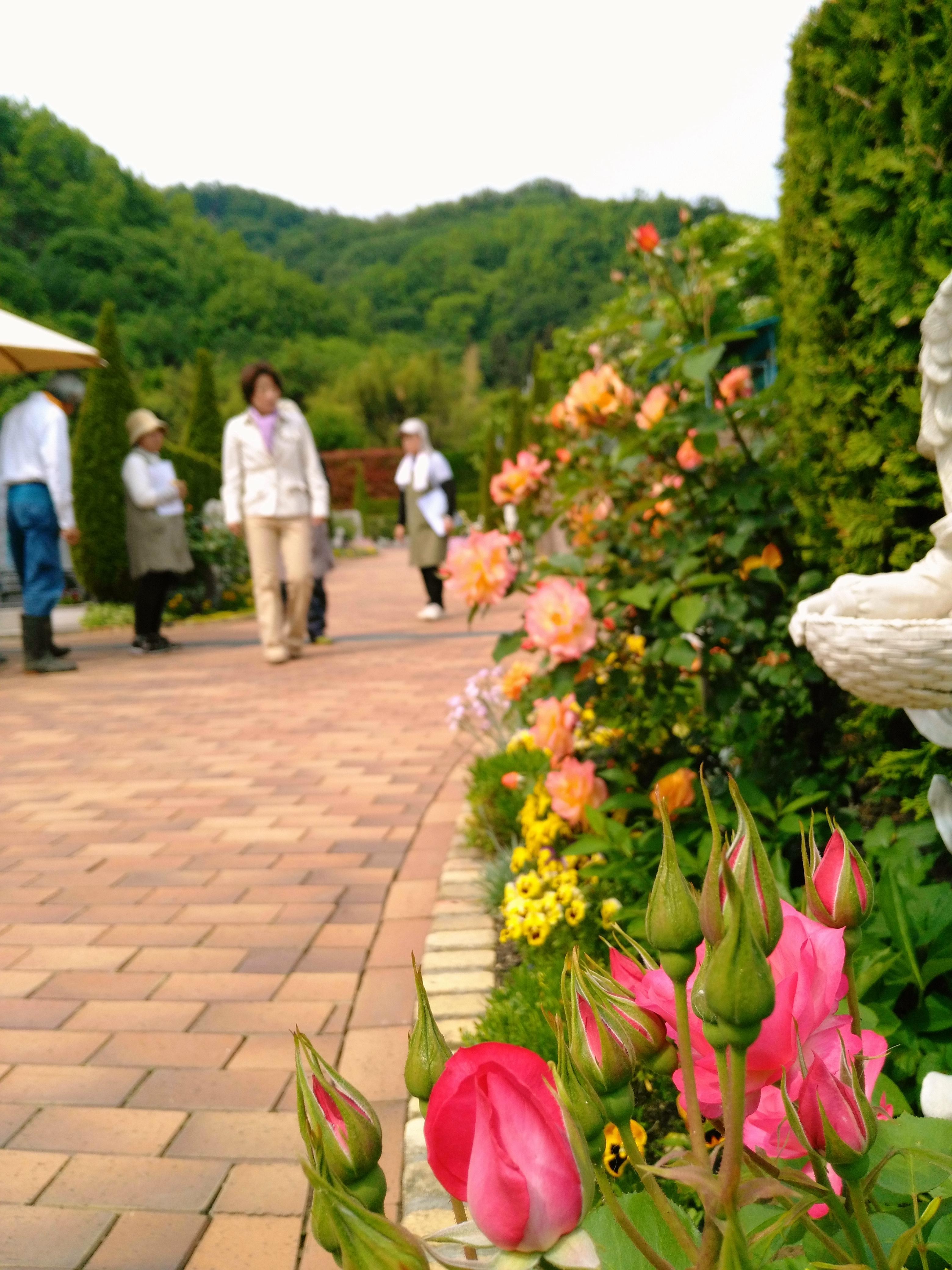 お花の指導日～1年中お花が咲き誇るために～